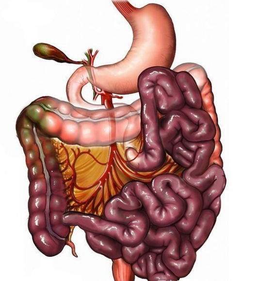 腸息肉者，排便出現3個(gè)異常，十有八九息肉已變成“癌”